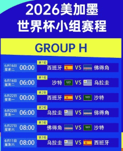 买球站世界杯赛事投注界面